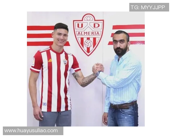 努涅斯在赛场上的崛起与挑战解析，如何成为足球界的新星